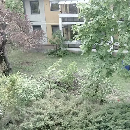 Furedi Piheno * バラトンフレド